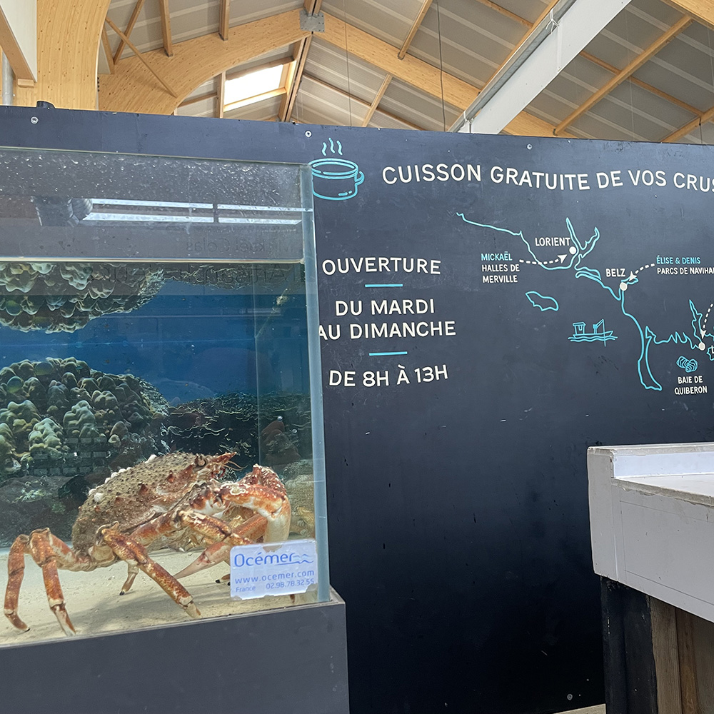 Coquillages 12 peinture lettres enseigne lorient bretagne