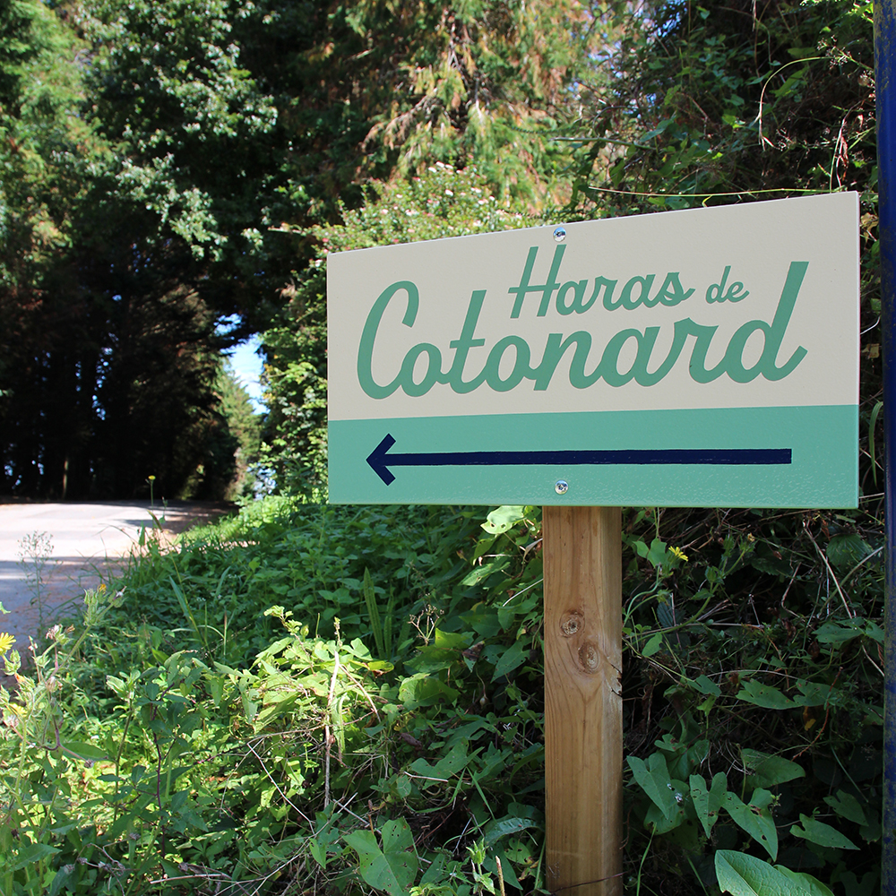 Cotonard 7 peinture lettres enseigne lorient bretagne