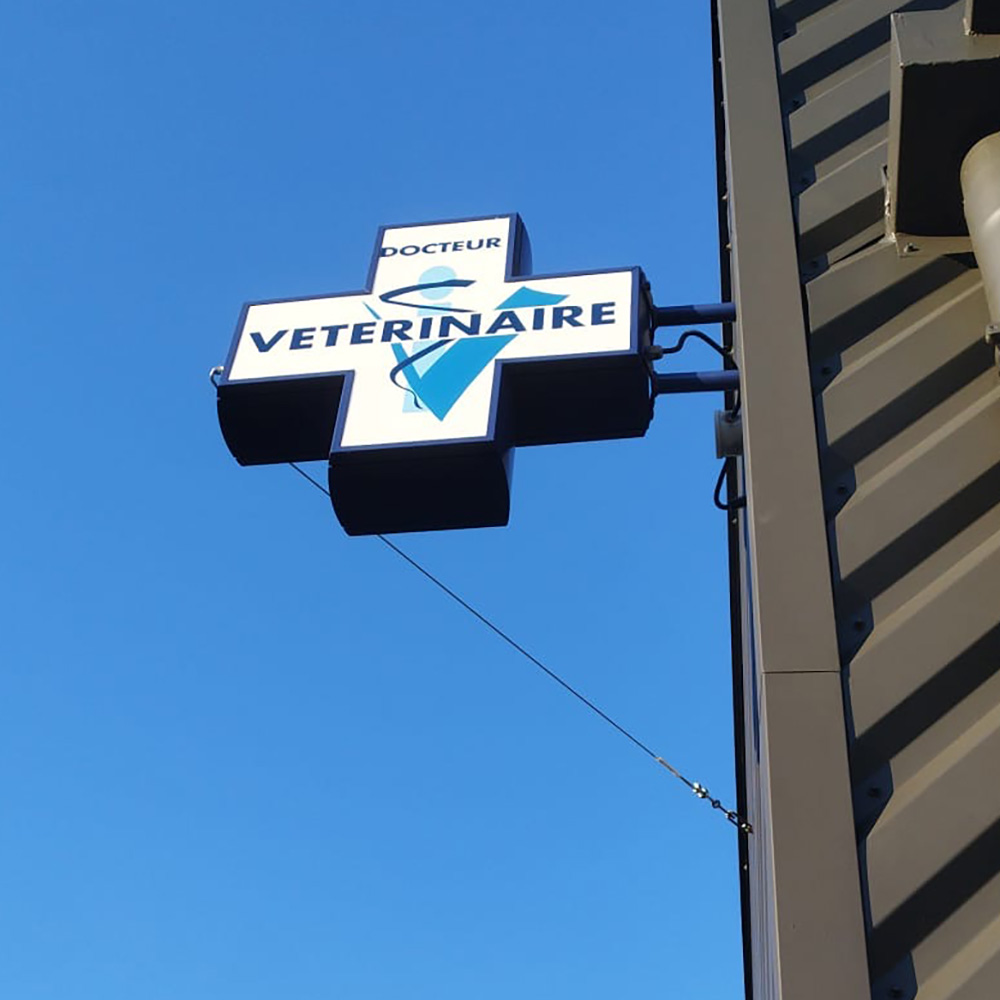 Vétos Guidel 1 peinture lettres enseigne lorient bretagne