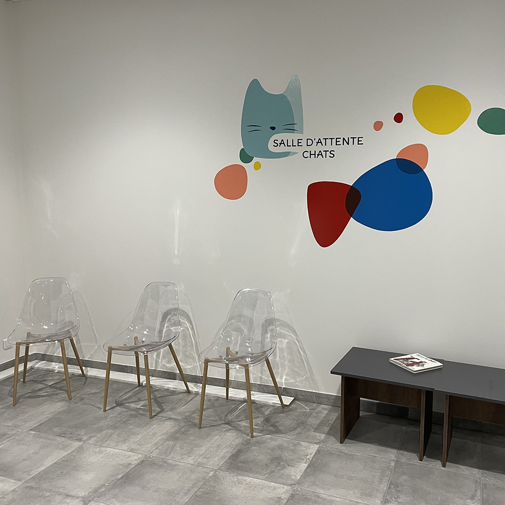 Vétos Guidel 18 peinture lettres enseigne lorient bretagne