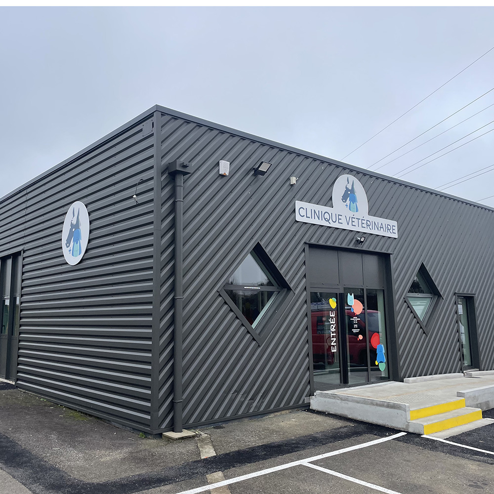 Vétos Guidel 21 peinture lettres enseigne lorient bretagne